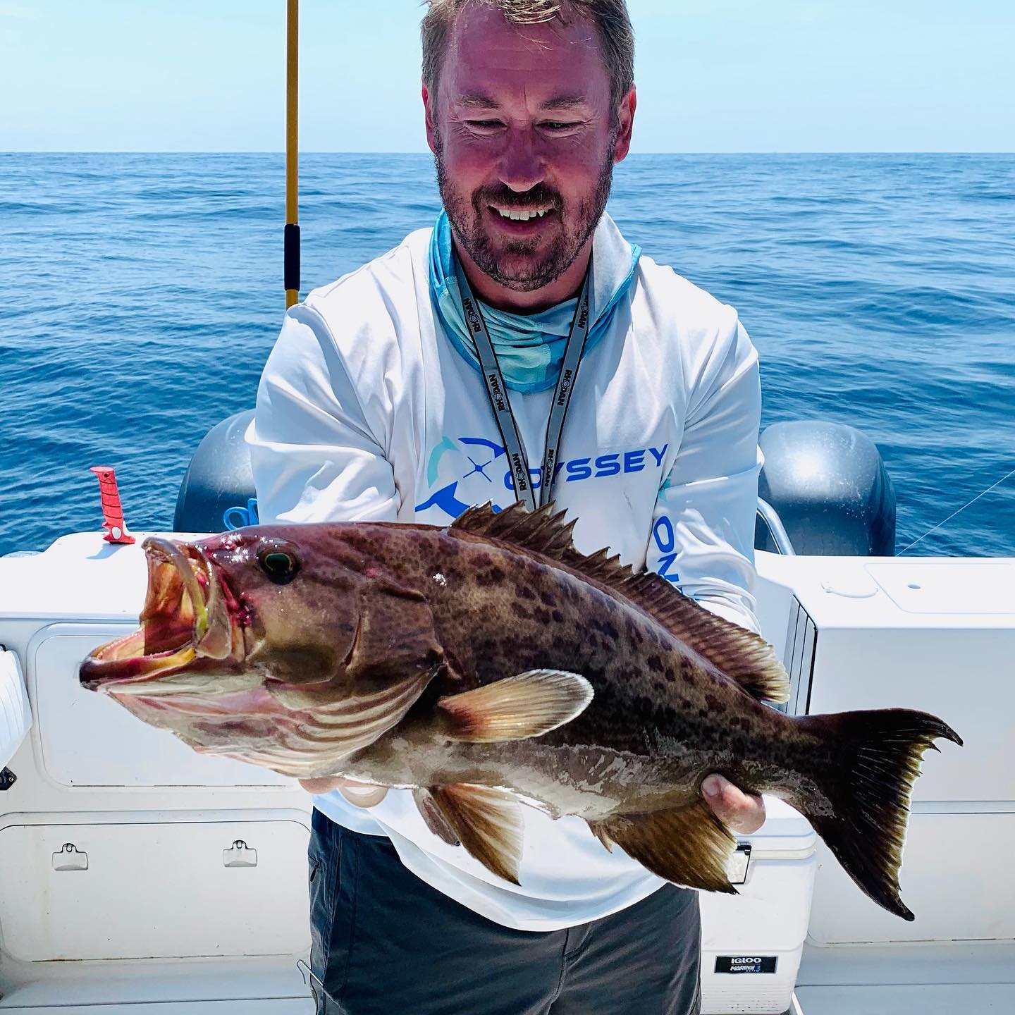 Odyssey Charter